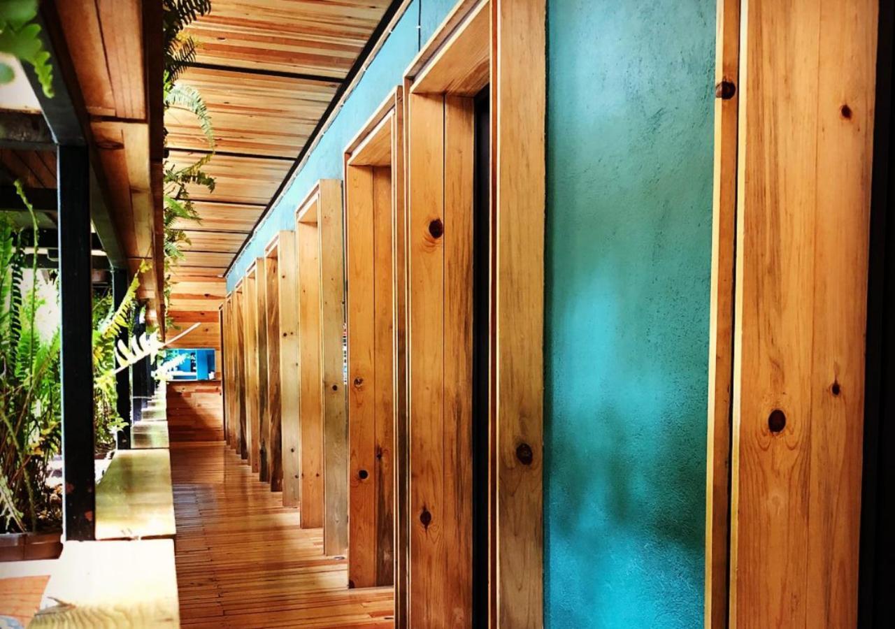 Mexico Hostel Εξωτερικό φωτογραφία
